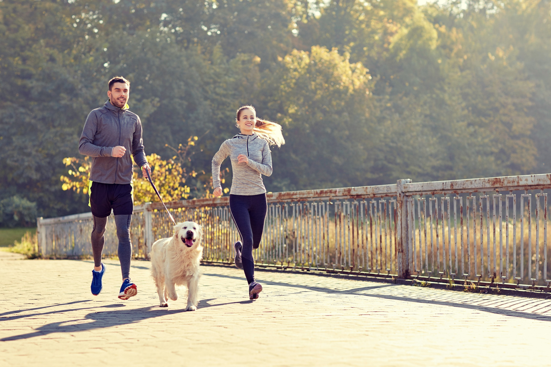 SESI Runners realiza corrida de cães e donos neste domingo, 17