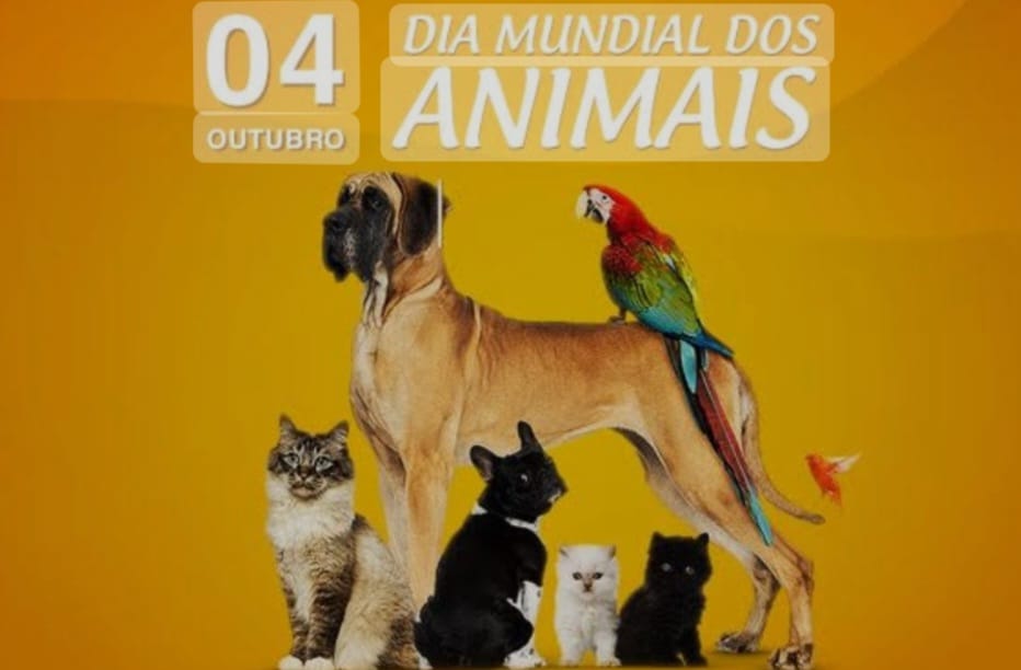 ​Dia Mundial dos Animais e da natureza será comemorado em CG com palestras e distribuição de rações com ONGs e entidades que cuidam dos animais